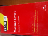 Madame Bovary - Profil