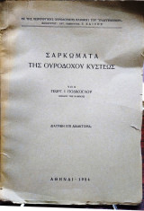 Σαρκώματα της ουροδόχου κύστεως
