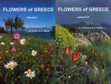 Flowers of Greece