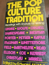 The pop culture tradition