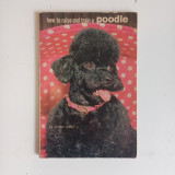How to Raise and Train a Poodle
