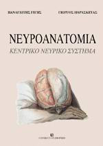 Νευροανατομία, κεντρικό νευρικό σύστημα