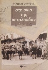 Στη σκιά της πεταλούδας: Μυθιστόρημα για έναν αιώνα