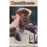 David Bowie: Και τα τραγούδια του