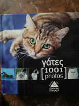 Γάτες [1001 photos]