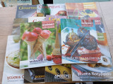 Gourmet Ελευθεροτυπία Έψιλον (13 τεύχη)