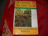 Budding Prospects