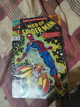 Web of spiderman 104