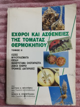 Εχθροί και ασθένειες της ντομάτας θερμοκηπίου
