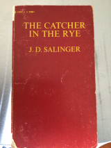 The Catcher in the Rye