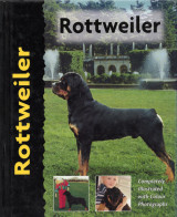 Rottweiler (Ροτβάιλερ)