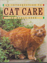 An Introduction to Cat Care