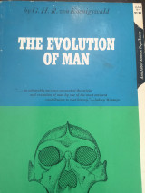 The evolution of man