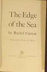 The edge of the sea