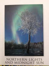 Northern lights and midnight sun