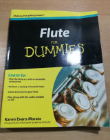 Flute for Dummies