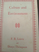 Culture and environment