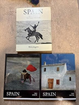 Spain : in two volumes: The north. The south (2 volumes).