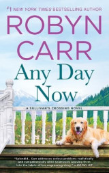 Any Day Now - A Sullivan’s Crossing Novel