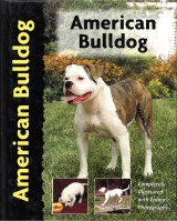 American Bulldog (Αμερικανικό Μπουλντόγκ)