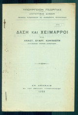 Δάση και χείμαρροι