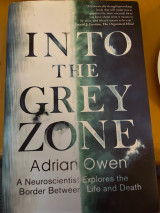 Into the grey zone