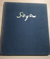 Goya (Spring Art Books)