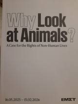 Why Look at Animals? A Case for the Rights of Non-Human Lives