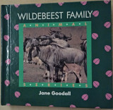 Wildebeest family