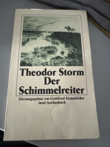 Der schimmerreiter