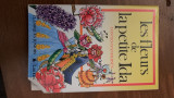 Les fleurs de la petite Ilda