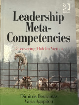 Leadership meta -competencies