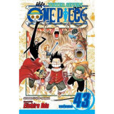 One Piece Volume 43
