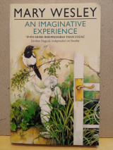 Imaginative experience