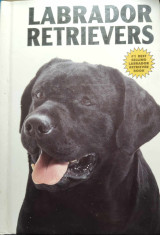 Labrador Retrievers