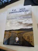 Passaggi Costituzionali 2. Atti del Convegno. L' attuazione nazionale del Recovery Fund e il futuro dell' Europa.
