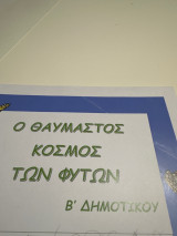 Ο θαυμαστός κόσμος των φυτών Β δημοτικού