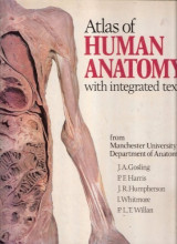 Atlas of Human Anatomy with Integrated Text