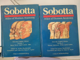 Sobotta atlas of human anatomy volume 1 and volume 2