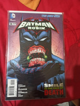 Batman and Robin 14