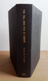 The fall and rise of Europe. A political, social, and cultural history of the twentieth century