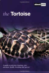 The Tortoise