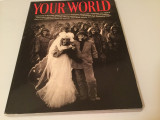 Your world