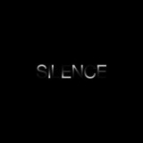 Anatomies of Silence