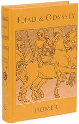 Iliad & odyssey