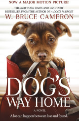 A dog’s way home