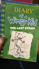 Diary of a wimpy kid 3