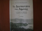 Το Δεσποτατο της Λιμνης, (τα Βυζαντινα Ιωαννινα,παραμονες της Αλωσης): Τα Βυζαντινά Ιωάννινα, παραμονές της Άλωσης