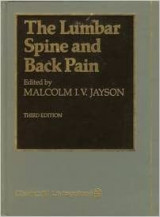 The Lumbar Spine and Back Pain