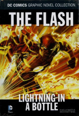 The Flash: Lightning in a Bottle